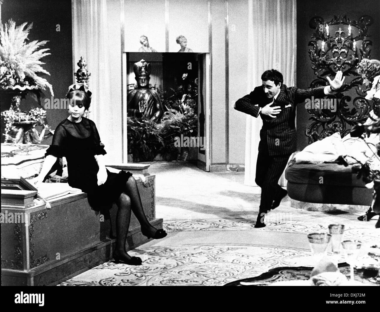 IL MAGNIFICO BOBO Foto Stock