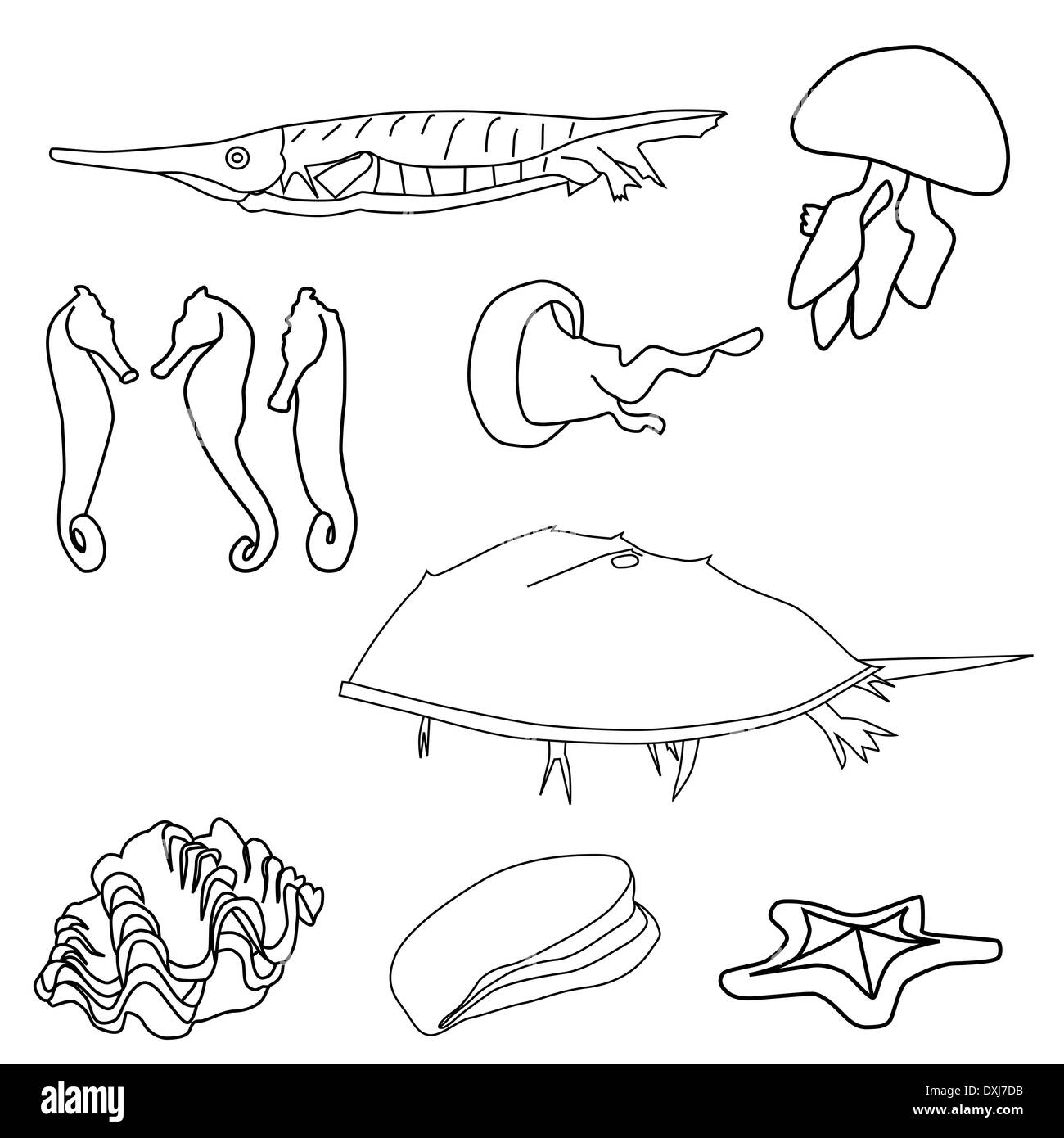 Illustrazione di delineato Sea life impostato Foto Stock