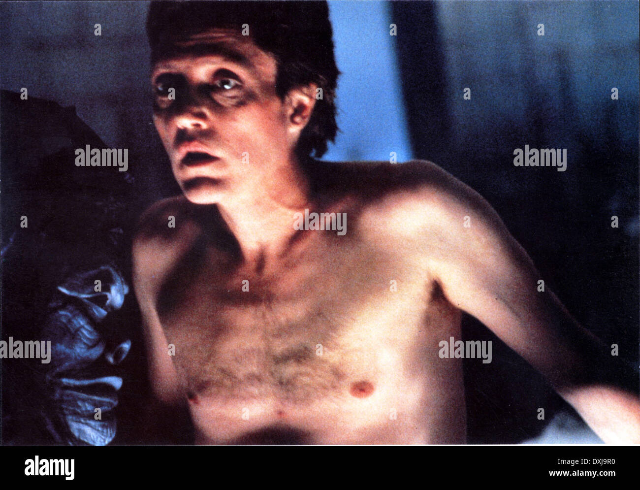 COMUNIONE Foto Stock