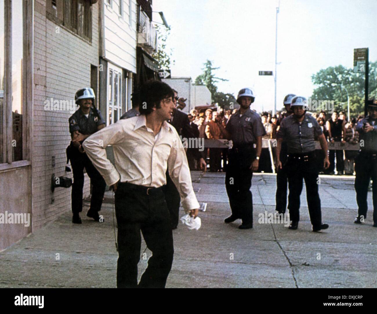 Cane giorno POMERIGGIO Foto Stock