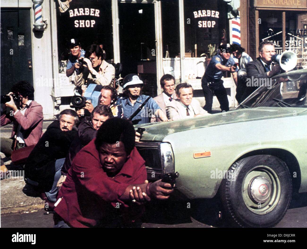 Cane giorno POMERIGGIO Foto Stock