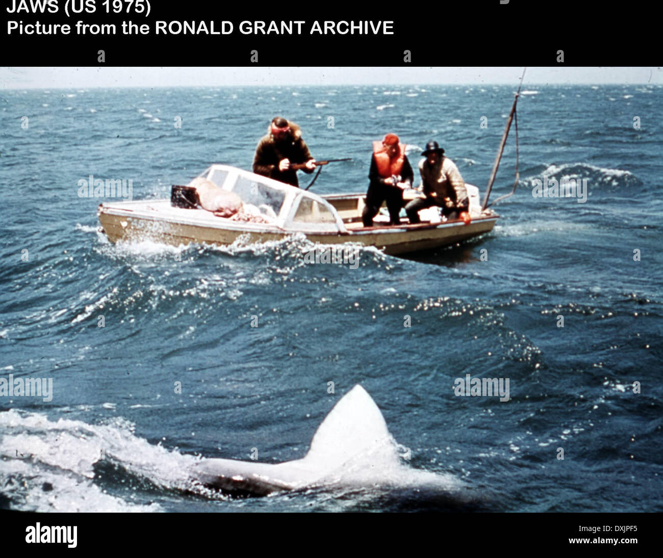 JAWS, 1975, Film, Movie, Foto Stock