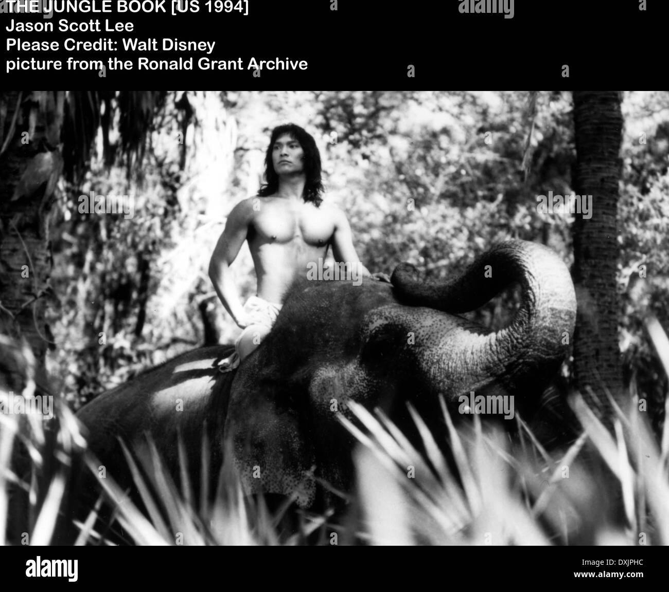 LIBRO DELLA GIUNGLA Foto Stock