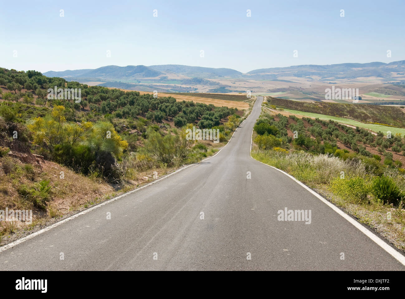 Corsa su strada al punto di fuga Foto Stock