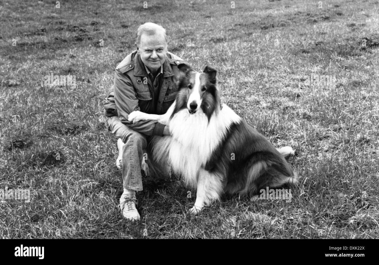 LASSIE Foto Stock