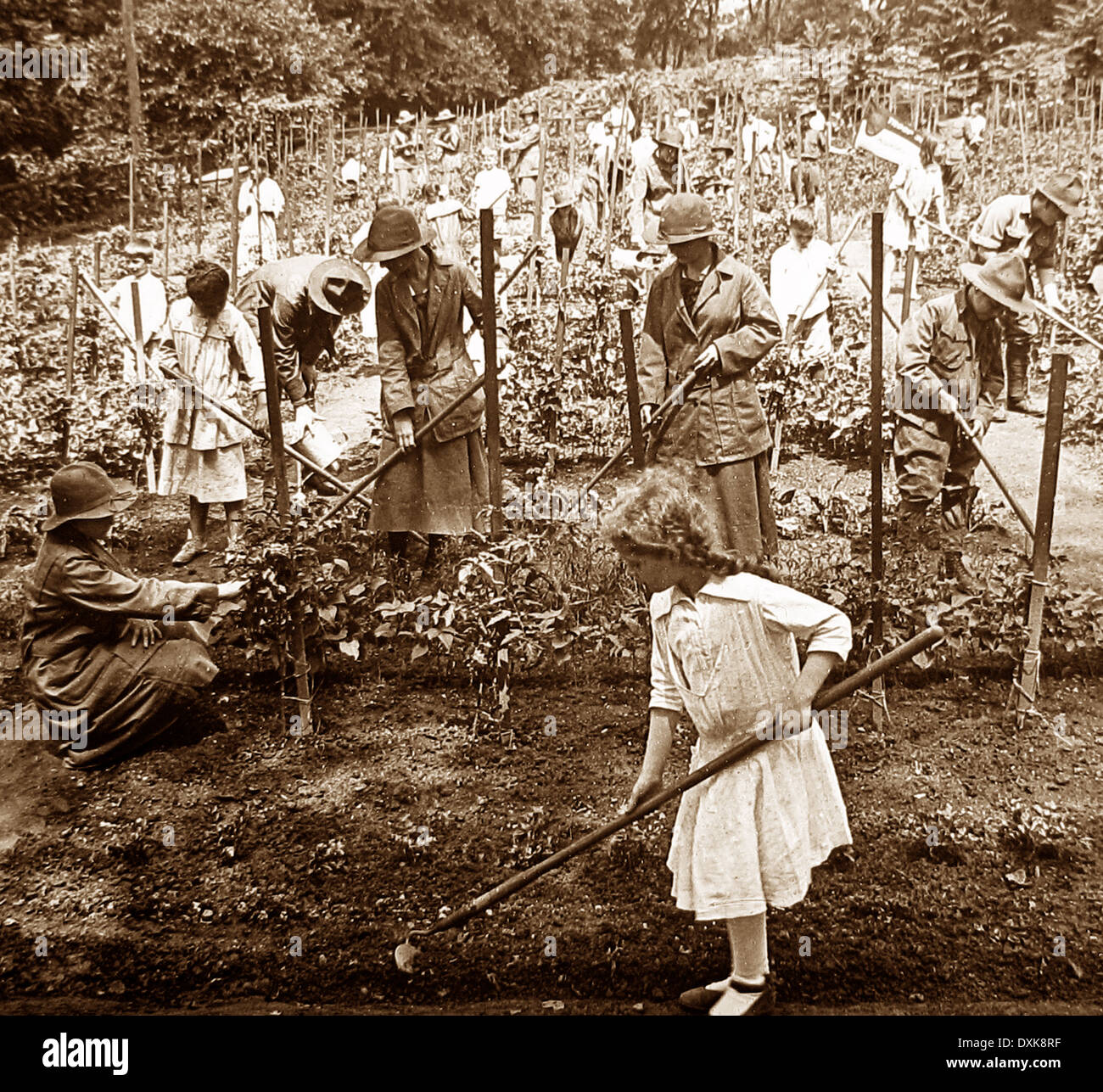 Scuola Progetto Giardinaggio con Boy Scout e fuoco di campo ragazze Philadelphia Stati Uniti presto 1900s Foto Stock