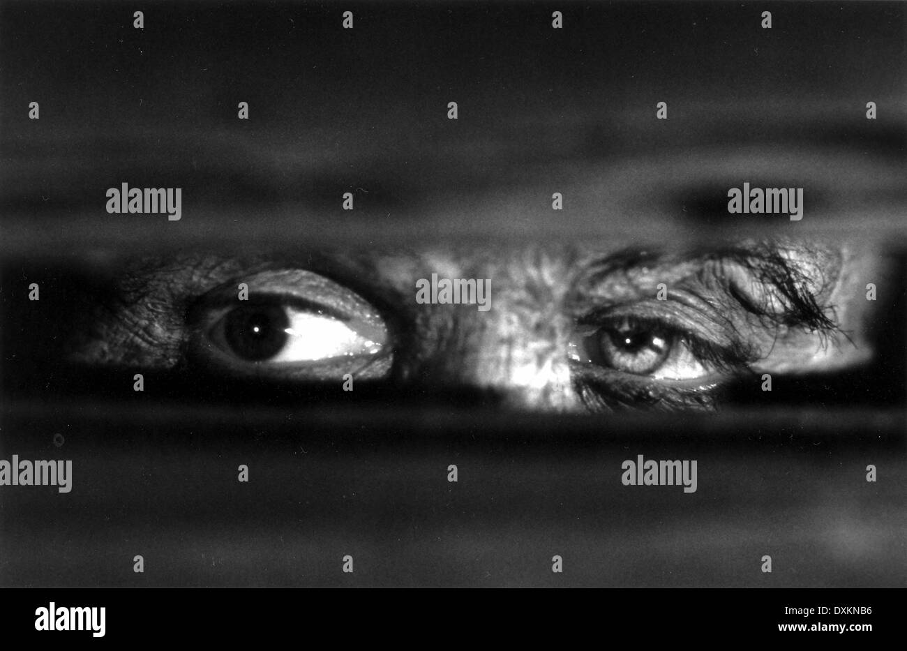 MARY SHELLEY DI FRANKENSTEIN Foto Stock