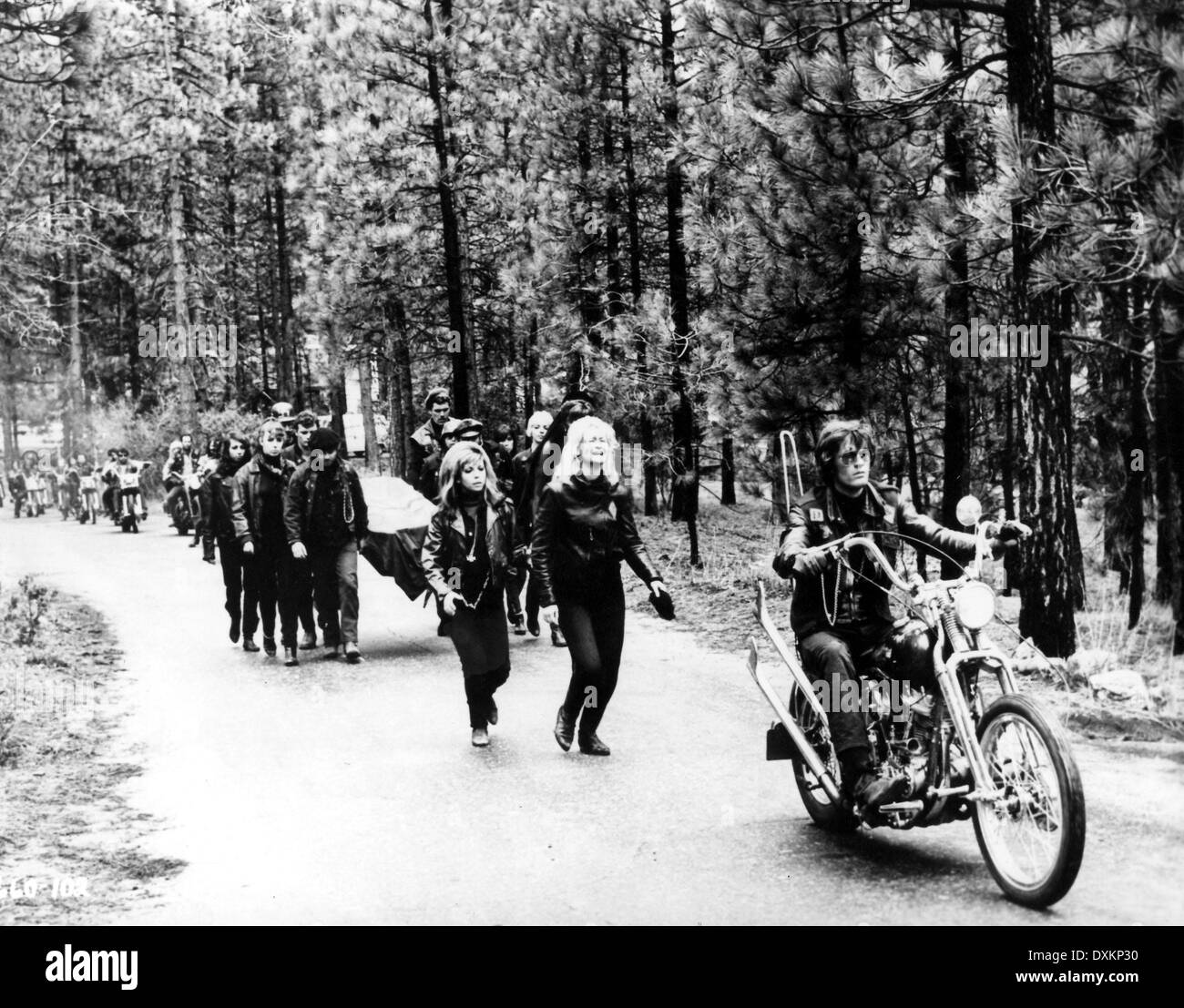 IL WILD ANGELS Foto Stock