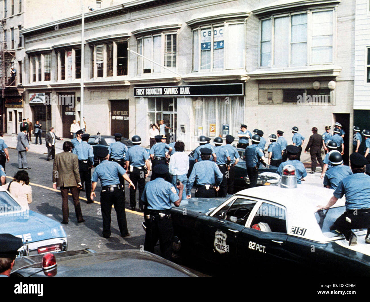 Cane giorno POMERIGGIO Foto Stock