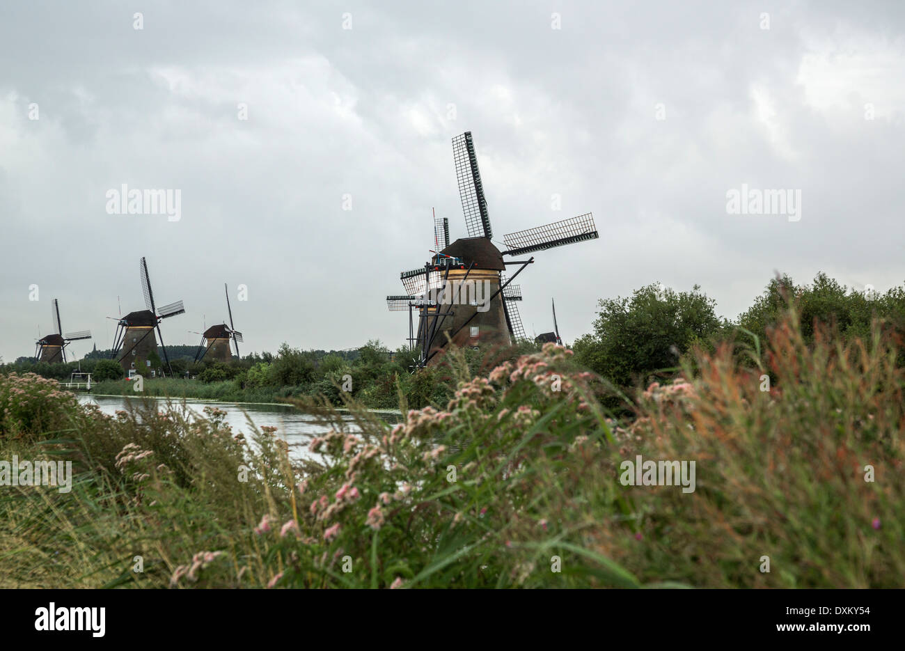 Olanda Kinderdijk mulini a vento nel paesaggio del canale Foto Stock