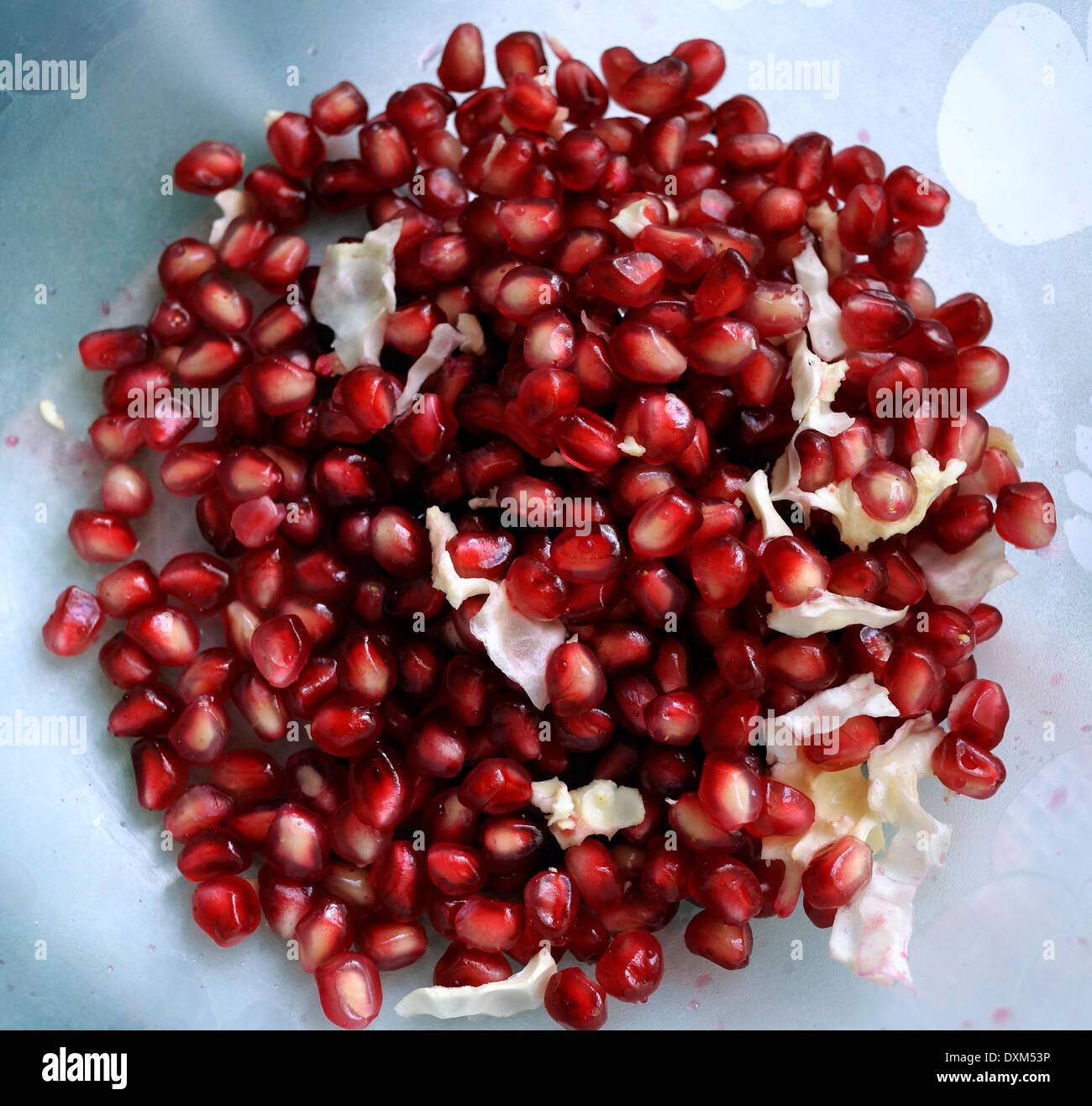 Melograno (Punica granatum) semi in una ciotola. Foto Stock