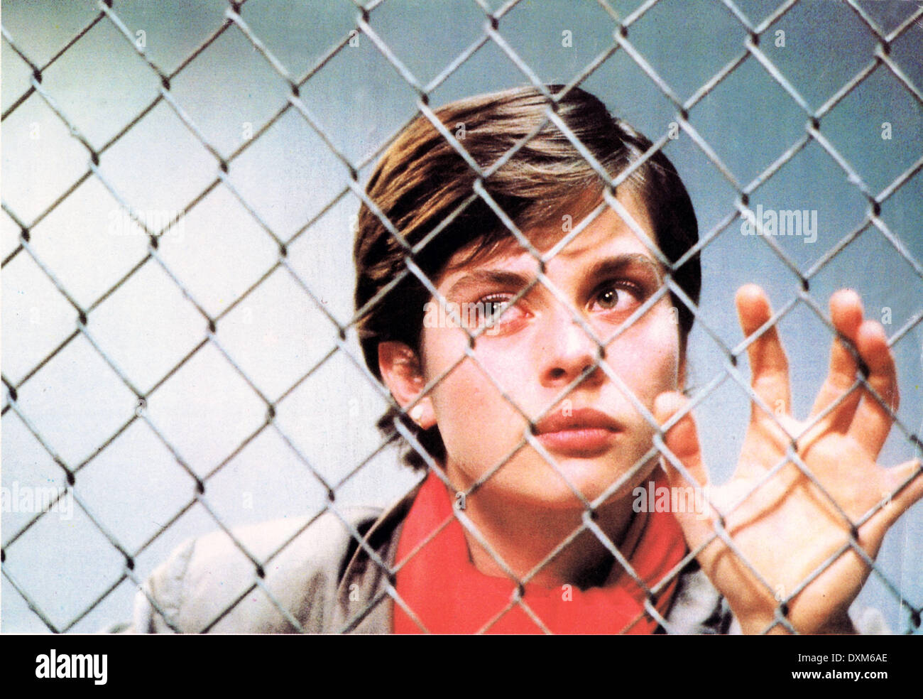 Nastassja Kinski Cat People 1982 Immagini E Fotografie Stock Ad Alta Nastassja Kinski Cat People 1982 Immagini E Fotografie Stock Ad Alta