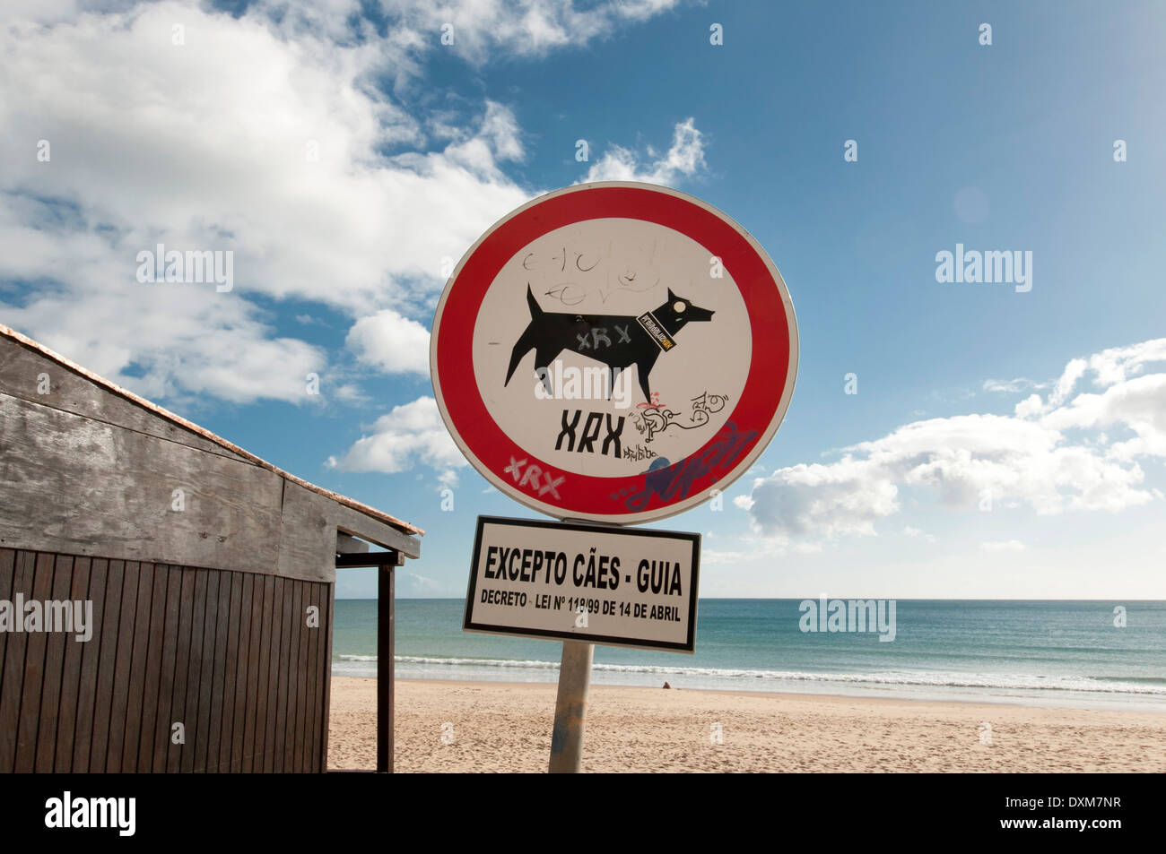 I cani sono ammessi sulla spiaggia segno, Praia de Luz Portogallo Foto Stock