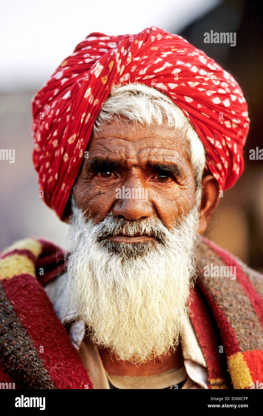 Ritratto di anziani uomo indiano con barba grigia che indossa un turbante rosso a Pushkar Camel Fair, India Foto Stock