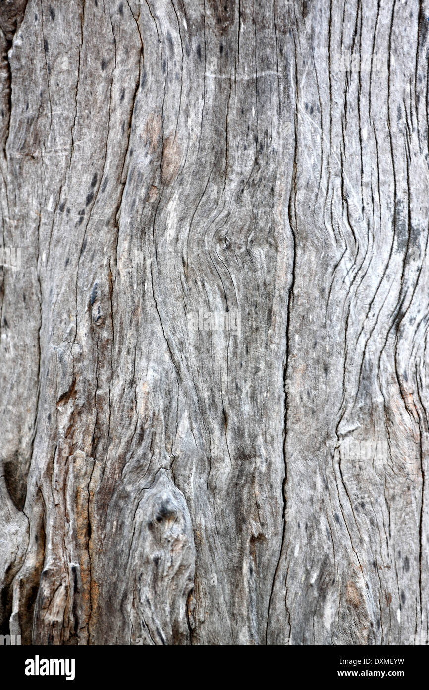 Il legno vecchio texture di sfondo. Foto Stock