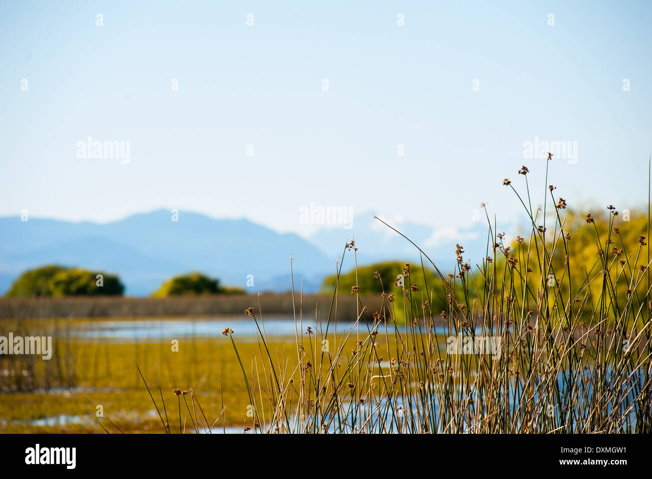 Paisaje en el Sur Argentino. Lago Buenos Aires en los Antiguos, Provincia de Santa Cruz Foto Stock