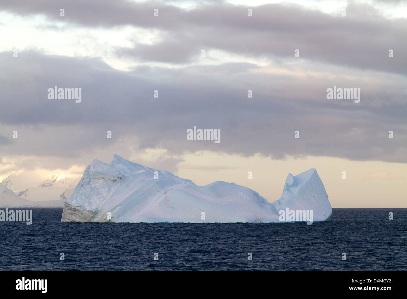 L'Antartide paesaggio paesaggio antartico blu iceberg, iceberg che mostra il bagliore rosa dal tramonto. Foto Stock