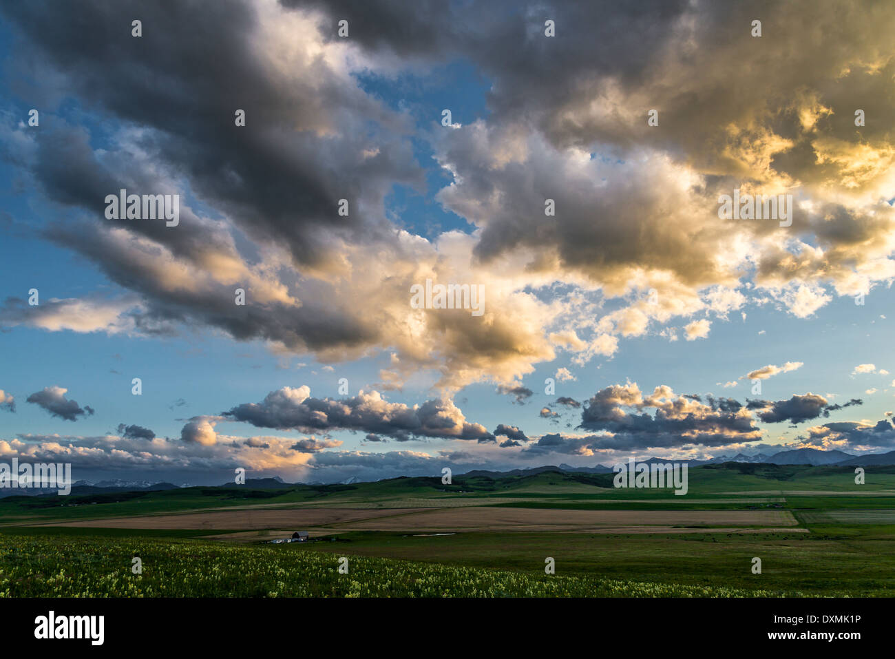 Cielo Molto nuvoloso in prossimità del rullo di estrazione Creek, Alberta, Canada Foto Stock
