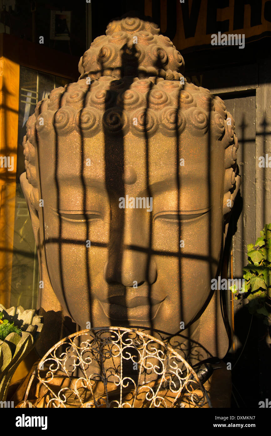 Il Buddha dietro il recinto Foto Stock