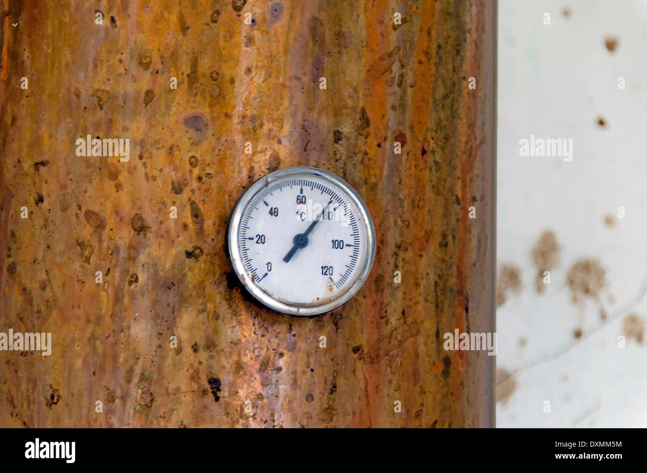 Termometro di caldaia di rame in distilleria per vapore e distillare acquavite di uve Foto Stock