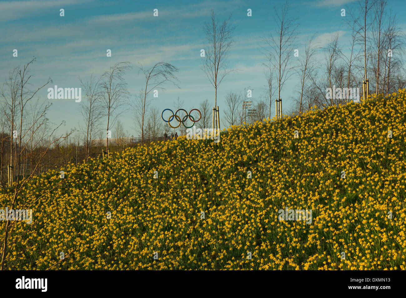 Anelli olimpici su 2012 Londra Olympic Park Foto Stock