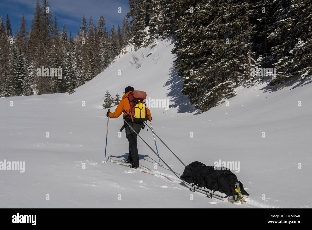 Mike Vining sci backcountry Trujillo Prati Rio Grande Foresta Nazionale di Colorado USA Foto Stock