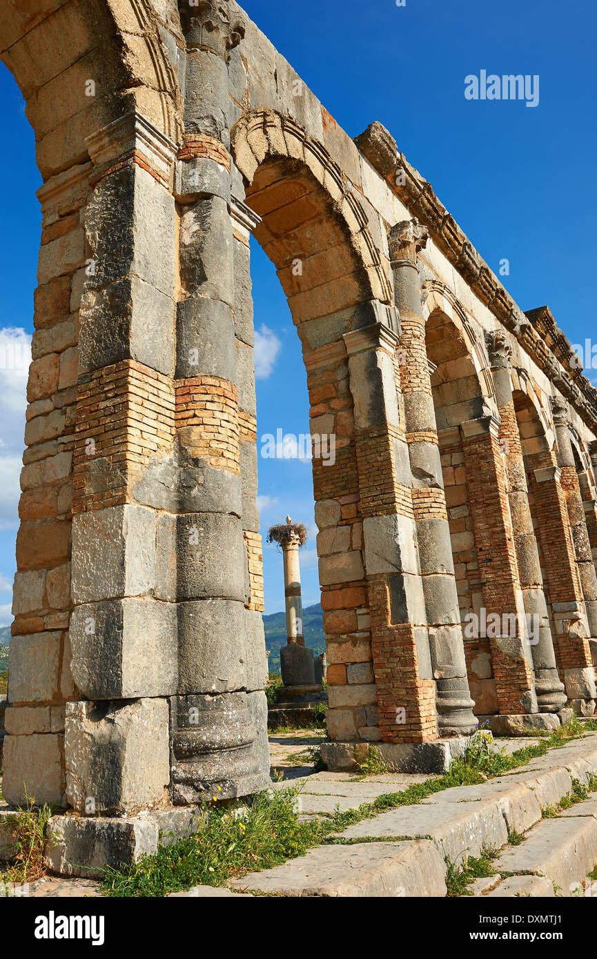 Esterno della Basilica a Volubilis Sito Archeologico, vicino a Meknes, Marocco Foto Stock