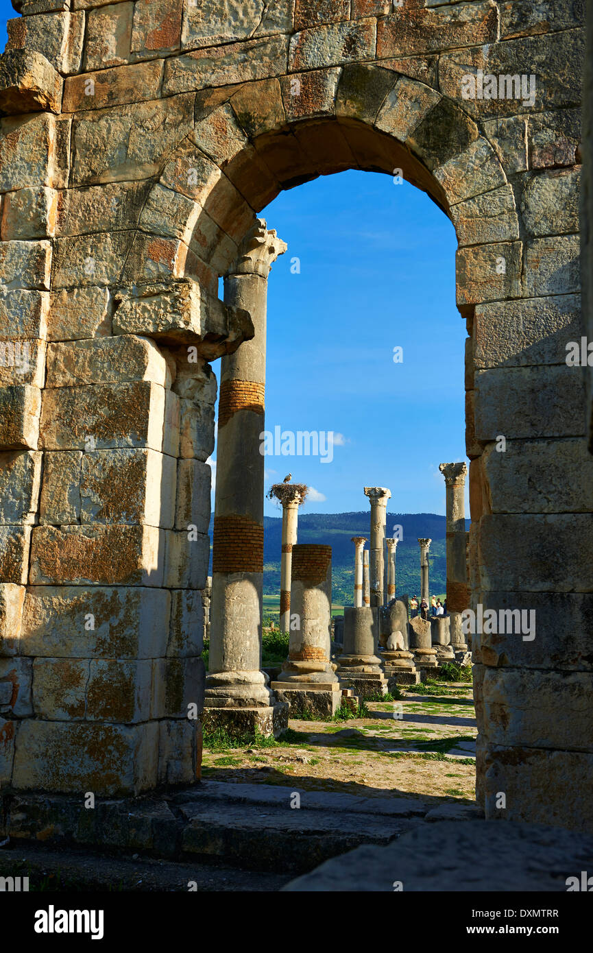 Esterno della Basilica a Volubilis Sito Archeologico, vicino a Meknes, Marocco Foto Stock