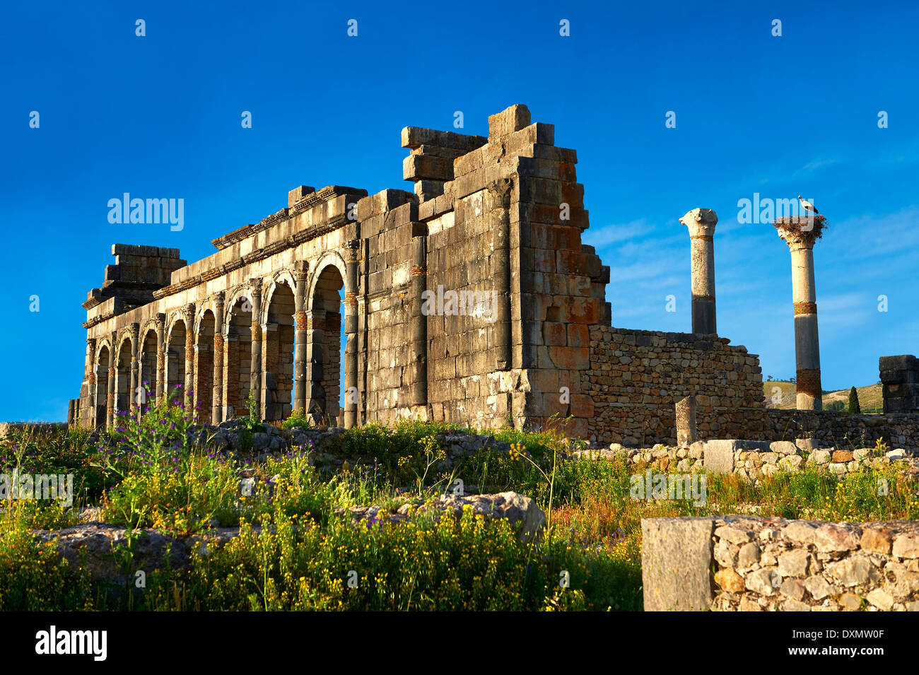 Esterno della Basilica a Volubilis Sito Archeologico, vicino a Meknes, Marocco Foto Stock