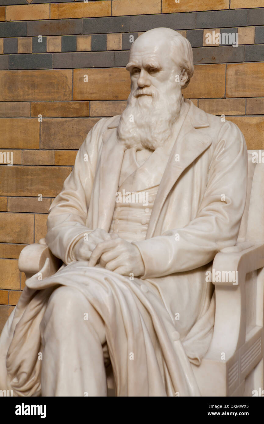 Statua di Charles Darwin nel Museo di Storia Naturale di Londra, Regno Unito Foto Stock