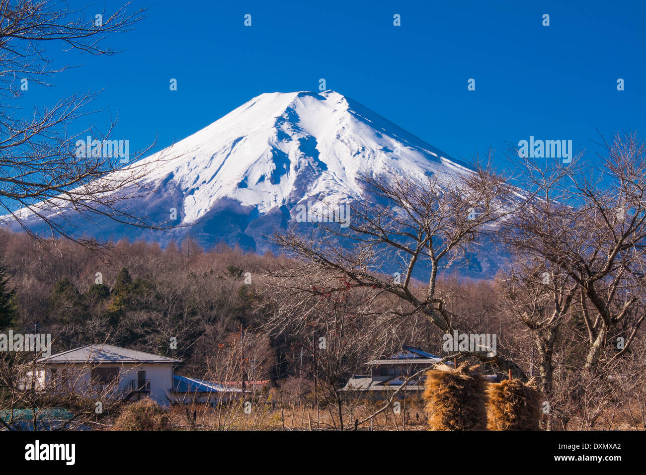 Monte Fuji in mattina tempo Foto Stock