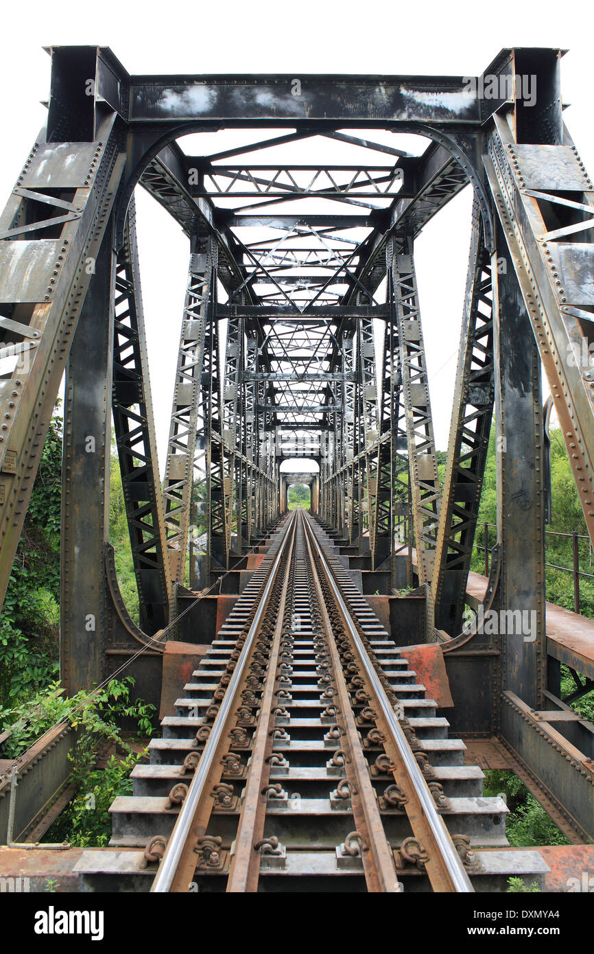 Il viadotto è il ponte che il treno per uso sul fiume Foto Stock