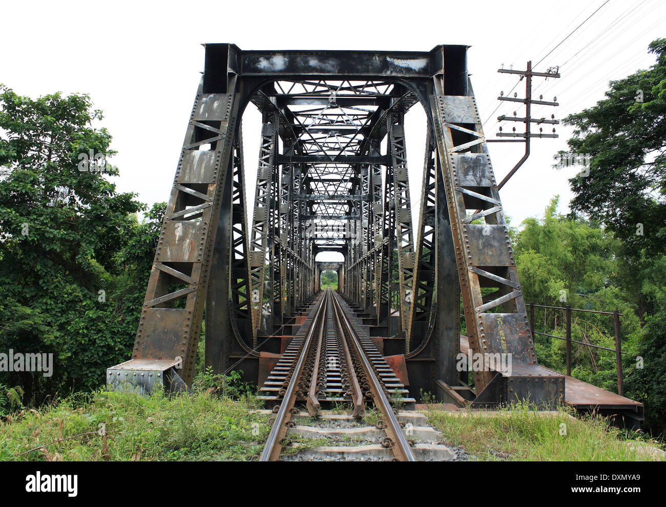 Il viadotto è il ponte che il treno per uso sul fiume Foto Stock