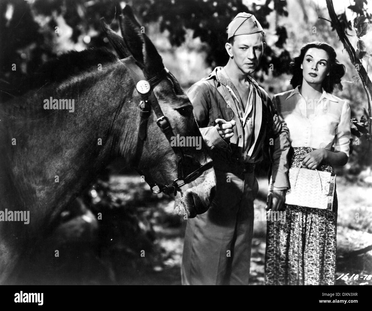 FRANCESCO Foto Stock