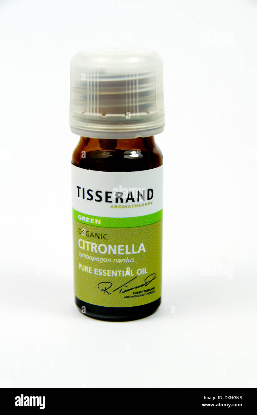La citronella Olio essenziale bottiglia. Foto Stock