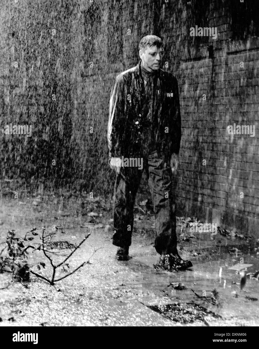 BIRDMAN OF ALCATRAZ Foto Stock