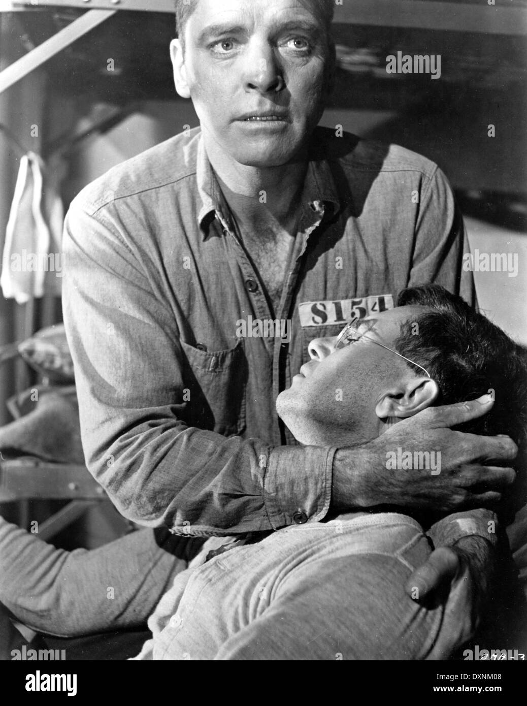 BIRDMAN OF ALCATRAZ Foto Stock