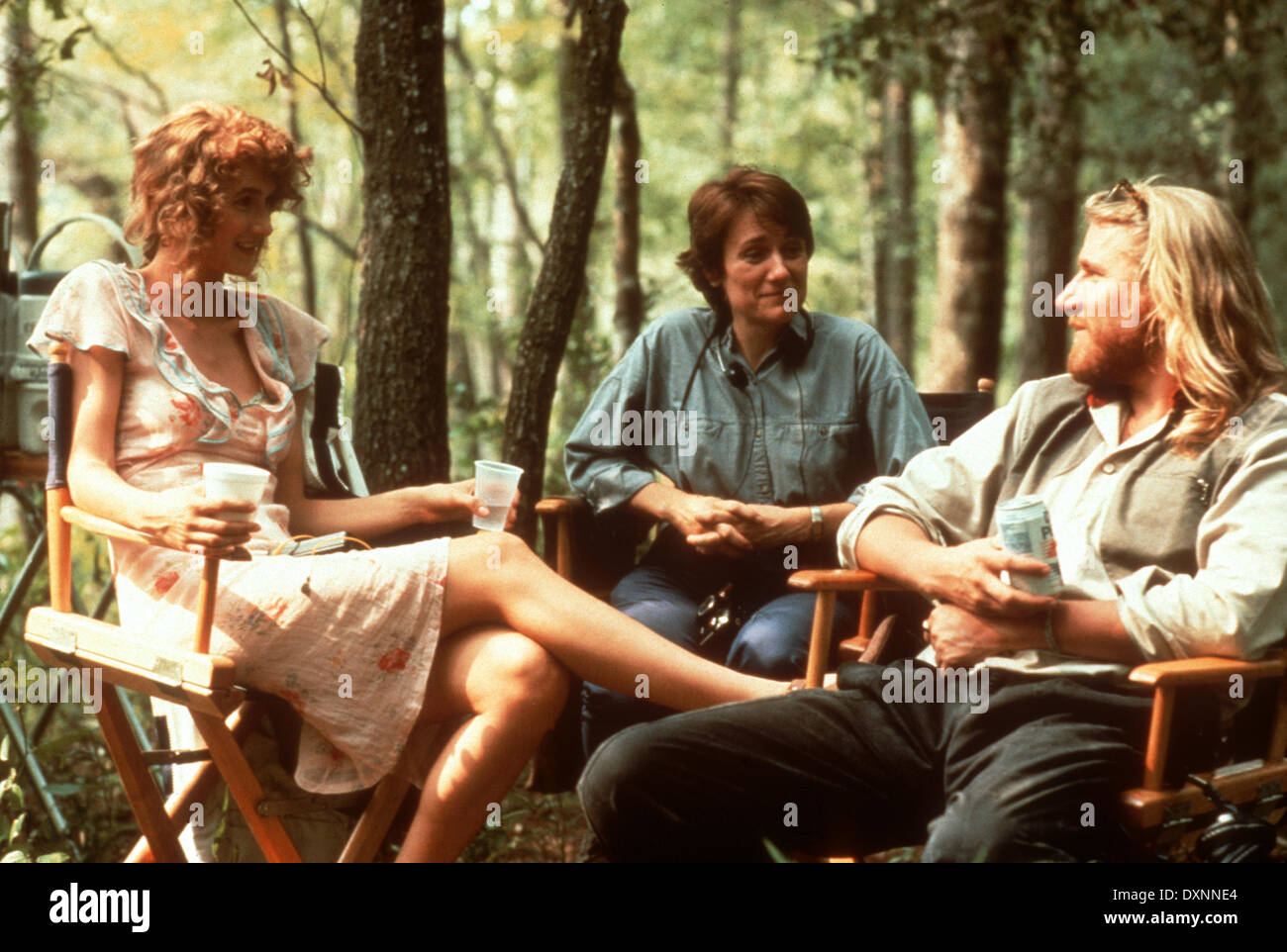 RAMBLING ROSE Foto Stock