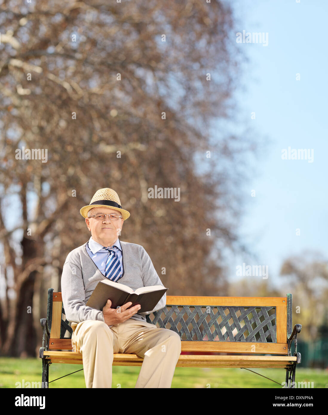 Senior gentleman leggendo un libro nel parco e guardando la telecamera Foto Stock