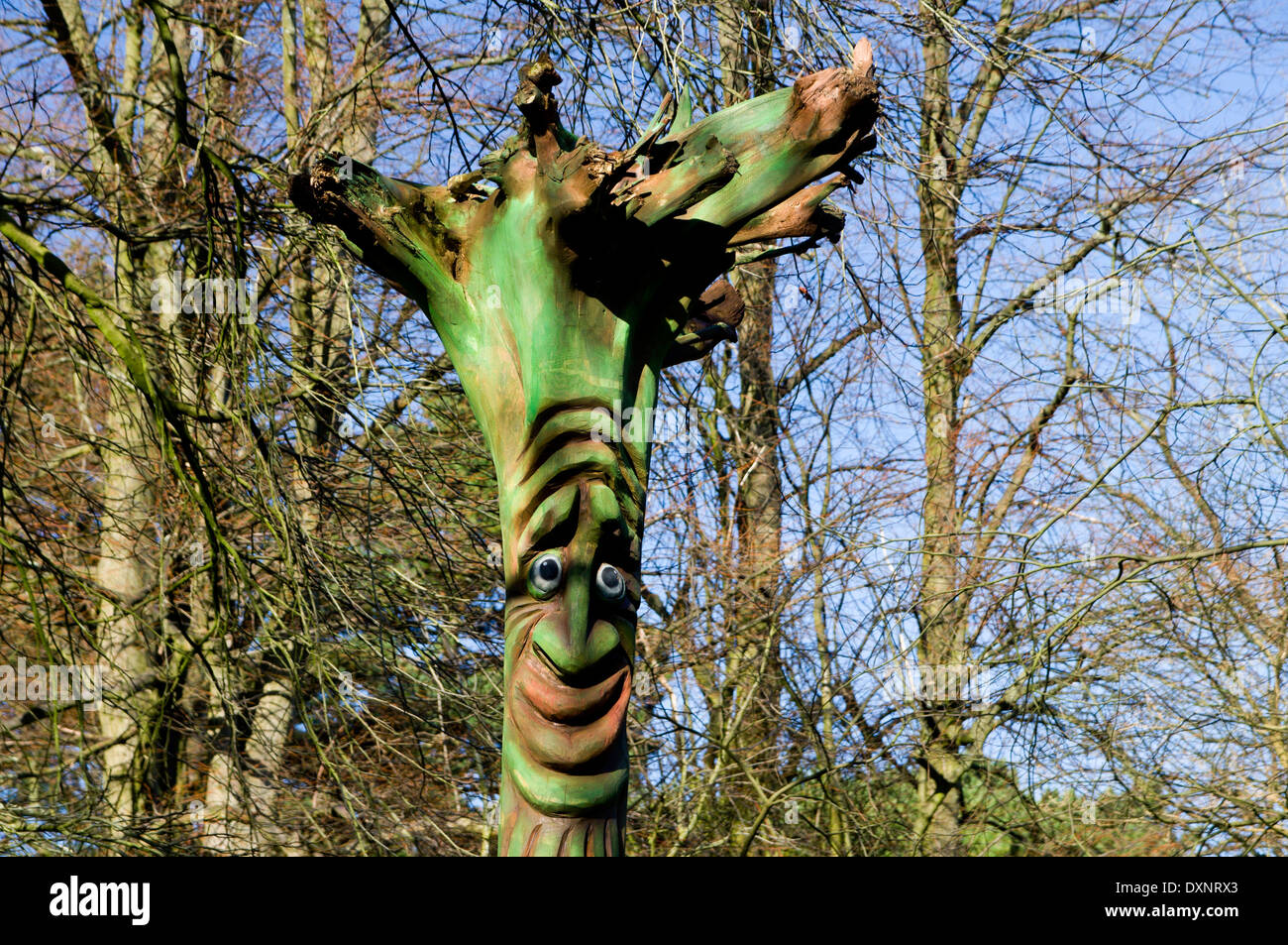 In legno scolpito arte, l'Arboretum, Bute Park, Cardiff, Galles. Foto Stock