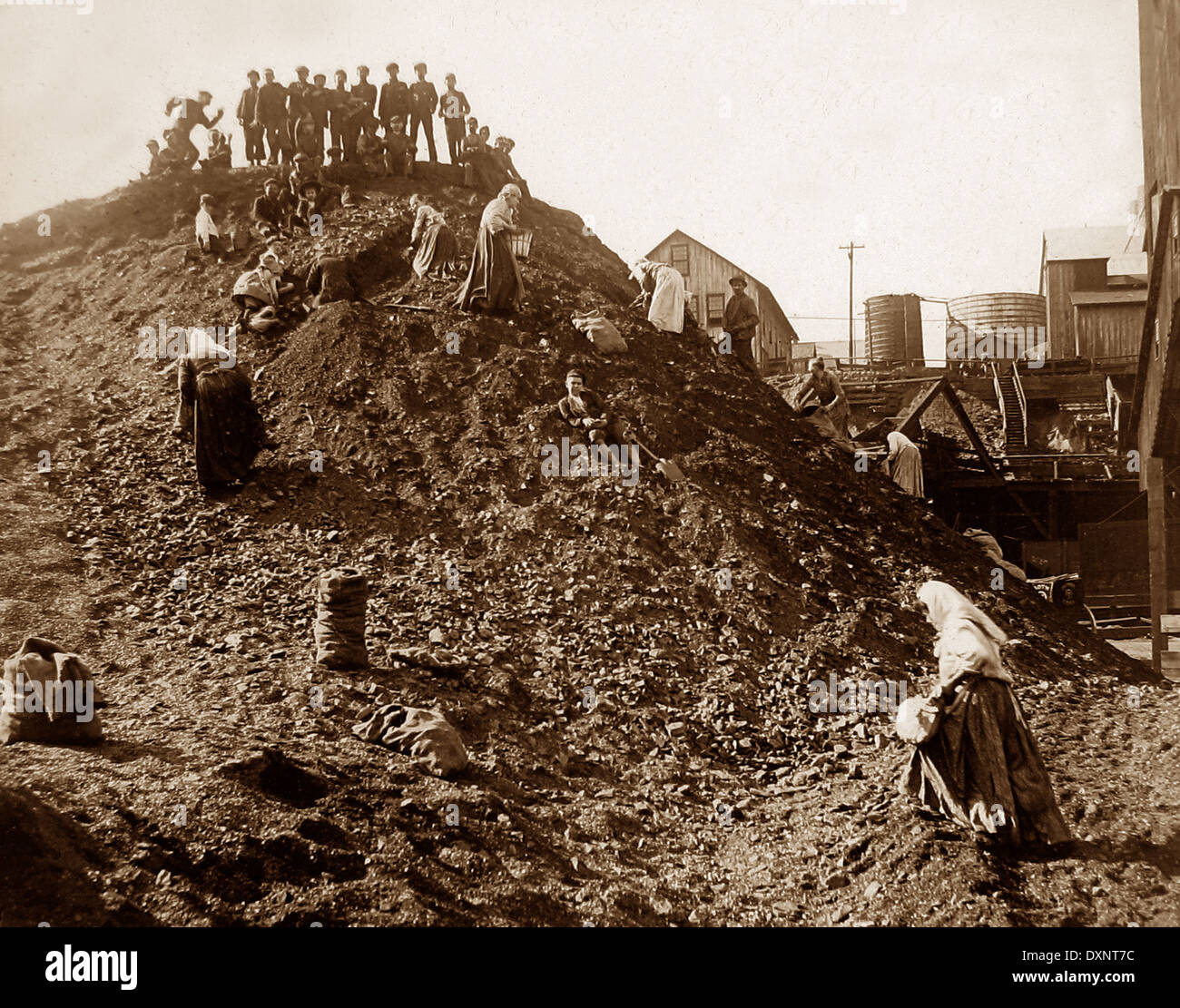 Le famiglie di carbone di prelievo da un dump Scranton Pennsylvania USA primi 1900s Foto Stock