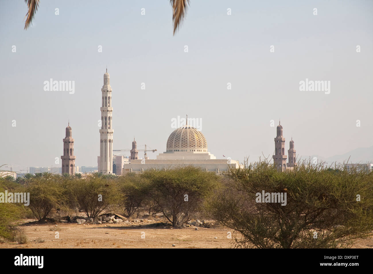 Arabia, Oman, Muscat Sultan Qaboos Grande moschea Foto Stock