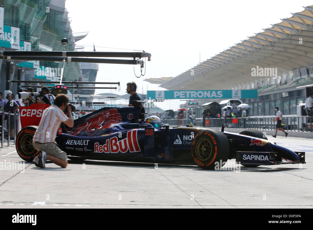 Motorsports: FIA Formula One World Championship 2014, il Gran Premio della Malesia, #25 Jean-Eric Vergne (FRA, la Scuderia Toro Rosso), Foto Stock