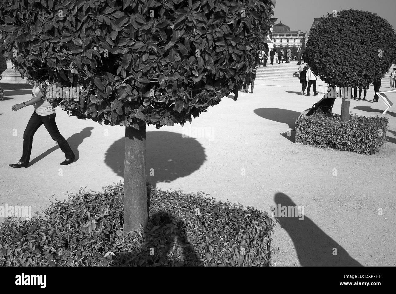 Jardin des Tuileries Parigi Foto Stock