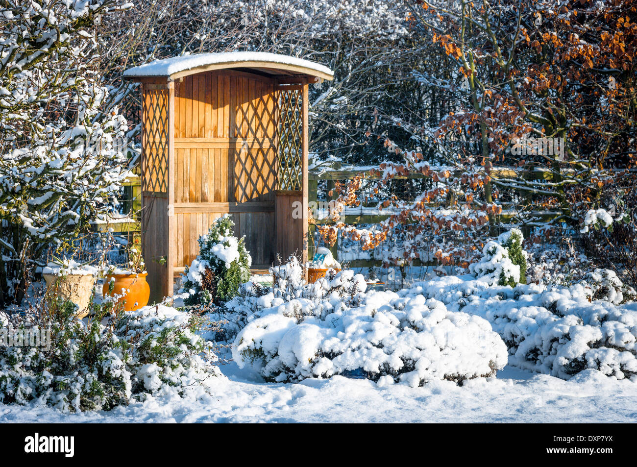 Inverno in un piccolo giardino inglese nel Regno Unito Foto Stock