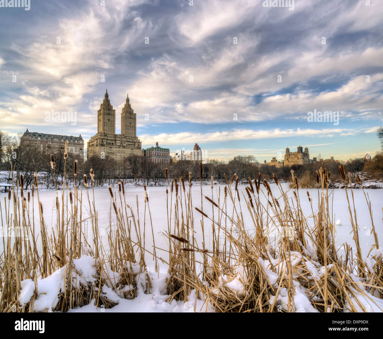 Il Central Park di New York City cat tails sul lago in inverno Foto Stock