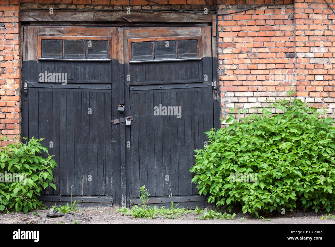 Vecchio abbandonato porte basculanti in legno ricoperta con piante Foto Stock