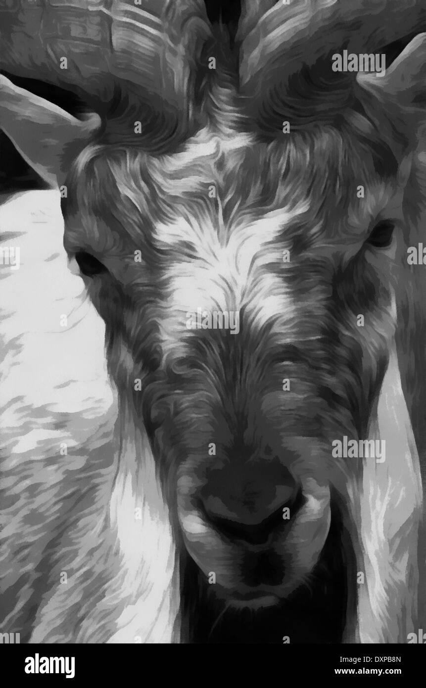 Bighorn o Bighorn (lat. Ovis canadensis) - tipo di ordinamento di selvaggi-pecora ungulati, acquerello, Foto Stock