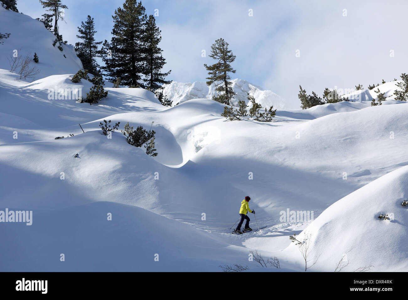 Obertraun, una donna è la guida gli sci da fondo Foto Stock