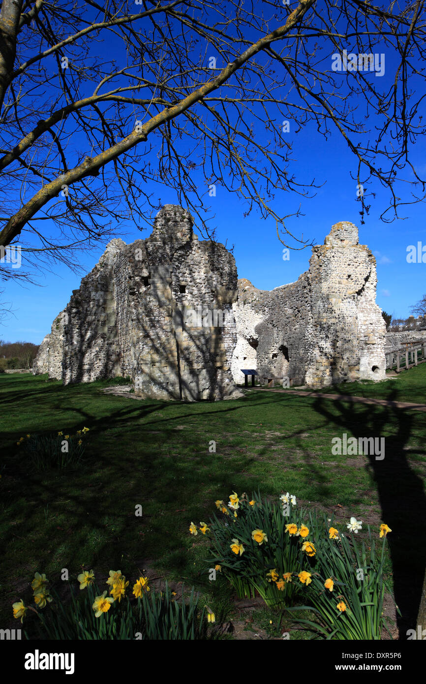 Molla, St Pancras Priory, Lewes priory, città di Lewes, nel Sussex County, Inghilterra, Regno Unito Lewes Priory è stata fondata tra il 1078 e il 1082 & Foto Stock